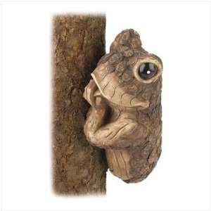  Peek a boo Frog Tree Decor 