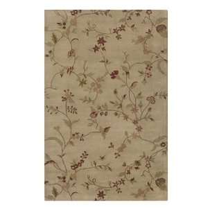 Rizzy Rugs VO 0823 5 Foot by 8 Foot Volare Area Rug, Transitional 