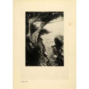  1910 Print Point Lobos California Canal Landscape Ernest 