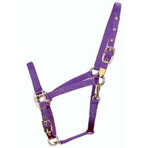   500 to 800 Pound Horse, with Adjustable Chin and Throat Snap, Purple