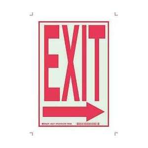 Sign,10x7,exit,plastic   BRADY  Industrial & Scientific