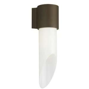 Forecast F8580 11E1 Roxy   Fluorescent One Light Outdoor Wall Sconce 