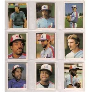  Montreal Expos 1981 Topps Sticker Baseball Team Set (Andre 