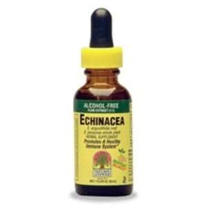  Echinacea (Alcohol Free) LIQ (1z )