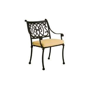 Landgrave Roma Cast Aluminum Cushion Arm Patio Dining Chair Granite 