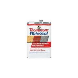  Thompsons Waterseal Gal Clr Wd Protector 11801 Exterior 