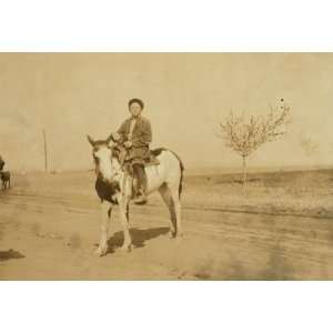 1917 child labor photo Bartrum Choate, a 12 year old boy driving colts 
