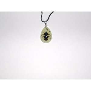  Glow in the dark Real Insect Necklace (YD0621) Everything 