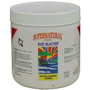  Bud Blaster 1 52 31 500 g