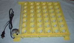 Automatic Turner for Chicken Eggs #1611  