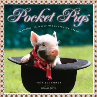  Pocket Pigs Teacup Pigs of Pennywell Farm Calendar 2011 