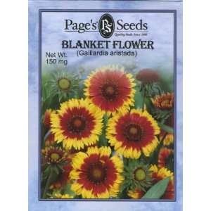  Blanket Flower (W/P) Patio, Lawn & Garden
