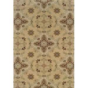  Sphinx Area Rug ARIANA 53 X 79 Furniture & Decor