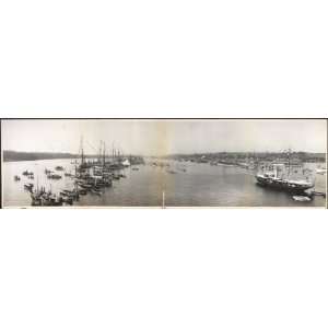  1905 Yale   Harvard boat race, 1905 30  Panorama photo 