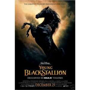 Young Black Stallion IMAX Double Sided Original Movie 