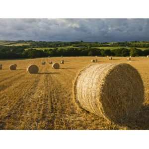  Round Straw Bales in a Field Near Morchard Bishop, Devon 