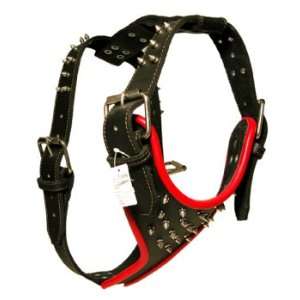  1 3/4 Spiked Black Leather Harnes w/ Red Round Edges   X 