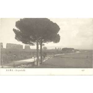  1910 Vintage Postcard The Aqueduct   Rome Italy 