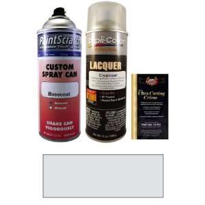  12.5 Oz. Silver Birch Effect Spray Can Paint Kit for 2009 