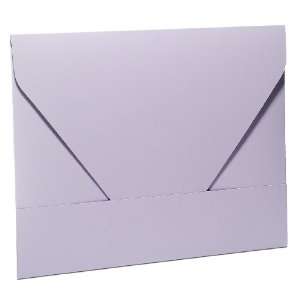   Envelopes, Letter Size, Lavender, 3 Per Pack (92105)