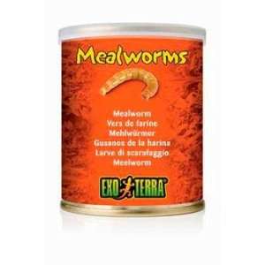  Exo Terra Meal Worms, 2.4 oz.