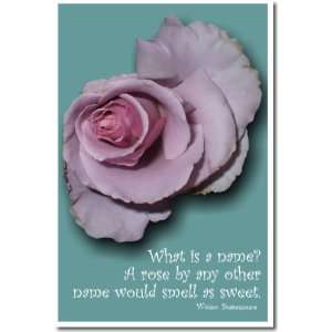  What Is a Name? A Rose by Any Other Name Would Smell as 