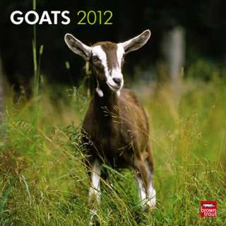 Goats 2012 Calendar   NEW BT  