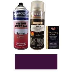  12.5 Oz. Medium Aubergine Metallic Spray Can Paint Kit for 