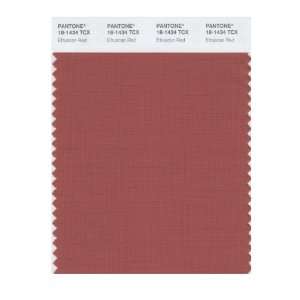  PANTONE SMART 18 1434X Color Swatch Card, Etruscan Red 