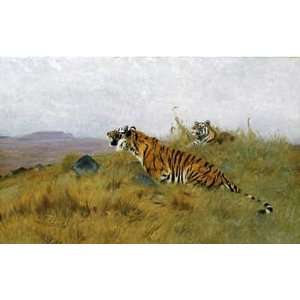Tigers Stalking Their Prey by Wilhelm Kuhnert. Size 30.00 X 18.63 Art 