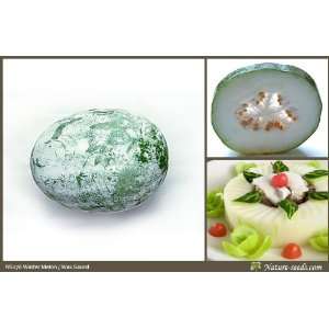  Nature Seeds Asia Winter Melon / Wax Gourd / Ash Gourd 30 