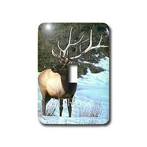  Wild animals   Elk   Light Switch Covers   single toggle 