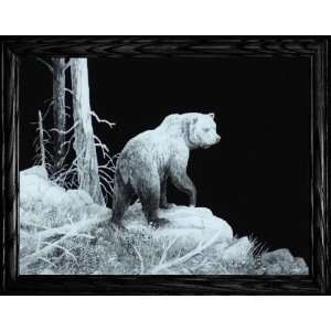   BEAR ~ High Definition Acid Etched Glass Decor Frame ~