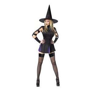  Witch Wicked Adult Medium Large 