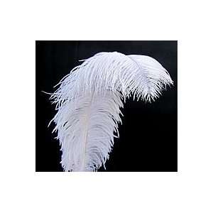  White Ostrich Feathers 18/22 