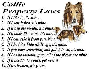 PARCHMENT PRINT  COLLIE DOG LASSIE FUNNY PROPERTY LAWS  