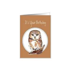  Its Your Birthday, Saw Whet Owl, Nature, Wildife, Birds 