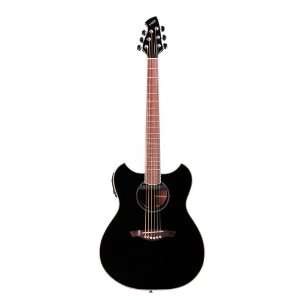   Wechter Model 3101 3PU Deluxe Pathmaker Guitar Musical Instruments