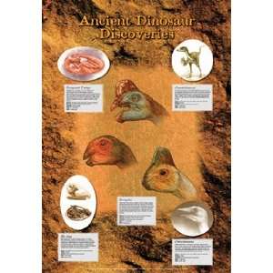  Ancient Dinosaur Discoveries Poster Toys & Games