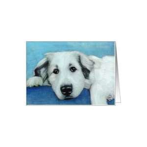 Great Pyrenees Announcement Invitation Card