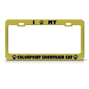 Colorpoint Shorthair Cat Gold Metal License Plate Frame Tag Holder