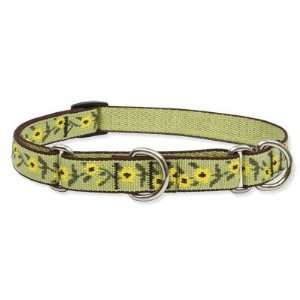 Lupine DOG78732/05/15 Suzie Q 3/4 Adjustable Medium Dog Combo Collar 