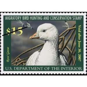  2006 2007 Migratory Bird Hunting & Conservation Stamp 