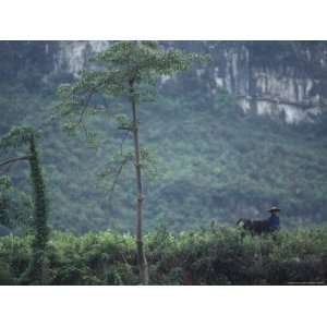 Farmer, Water Buffalo, Limestone Karst Mountains Behind, Guangxi 