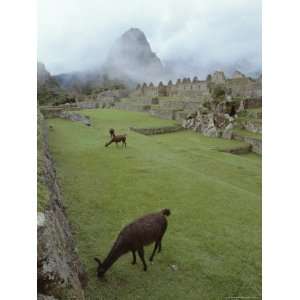  Inca Ruins, Machu Picchu, Unesco World Heritage Site, Peru 