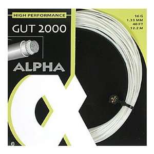  Alpha Gut 2000 16g