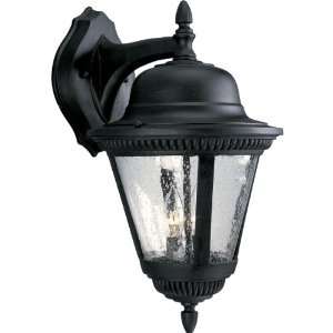 Progress Lighting P5864 31 2 Light Cast Wall Lantern with Clear Seeded 