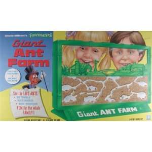  Uncle Milton   Giant Ant Farm (Science) Toys & Games