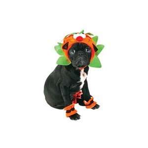  Mini Pumpkin Dog Costumes Small