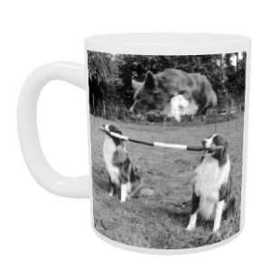    Whizz the border collie   Mug   Standard Size